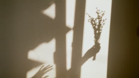 Skyggearbeid øvelser for indre ro