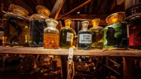 Význam slova alchýmia