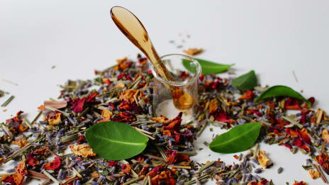 Homeopatia ja sen henkinen perinne