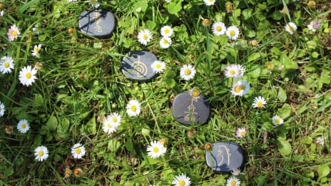 Energiakenttäterapia ja kehon näkymätön voima