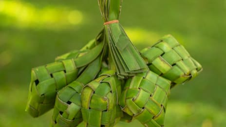 Jamu ja indonesialainen yrttilääketiede