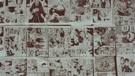 Manga ja eroottisen sarjakuvan maailma