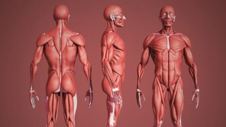 Meridiánový systém a harmónia tela a mysle