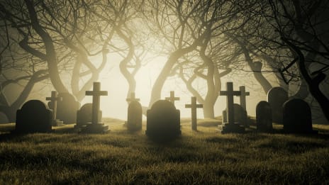 A megosztott halálközeli élmény jelentése