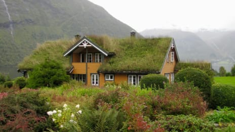 Synske i Norge