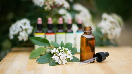 Bachs blomstermedel och själens fina toner
