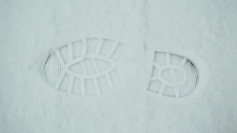 Yeti och Himalayas snöiga gåta