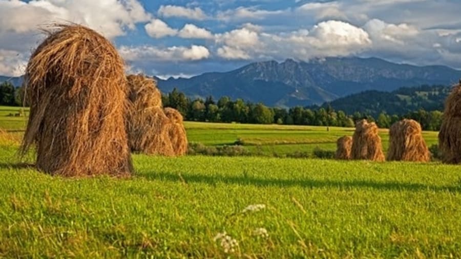 Bonden och hans välutrustade lada