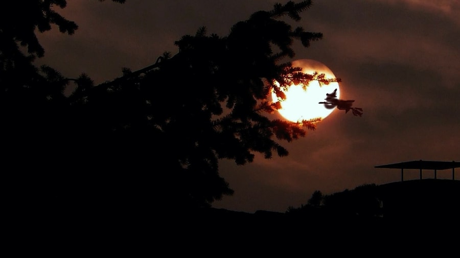 Tio tecken på att du är född att vara häxa