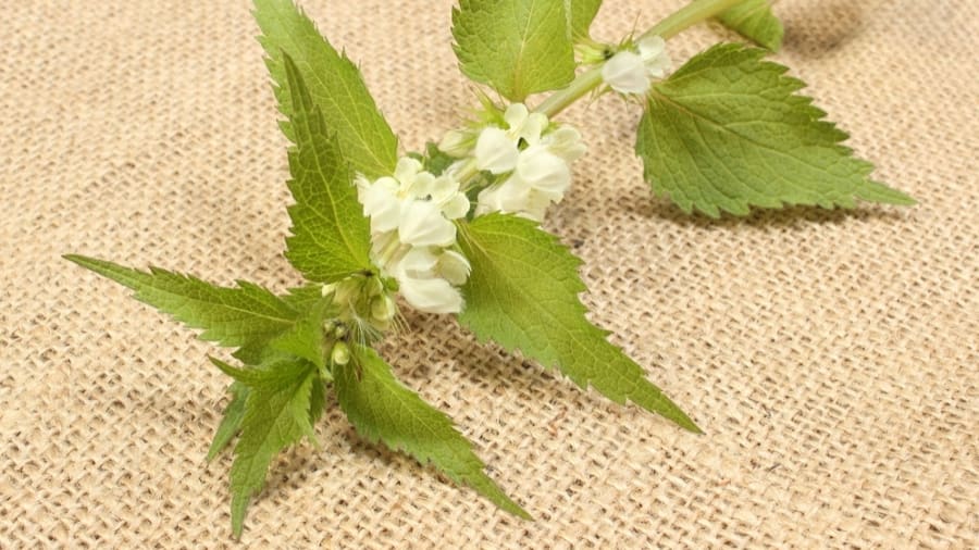 Ont ska med ont fördrivas