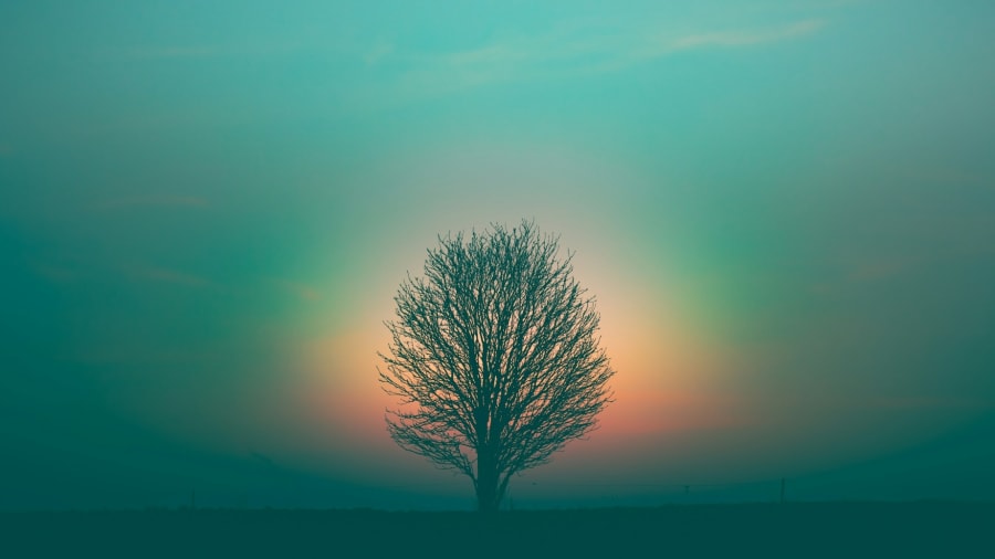 Vad är antroposofi?