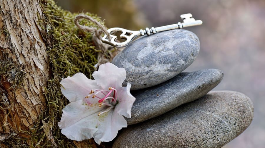 Ennustaja selvännäkijä