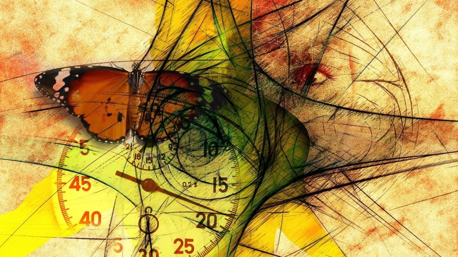 Ennustaja kokemuksia