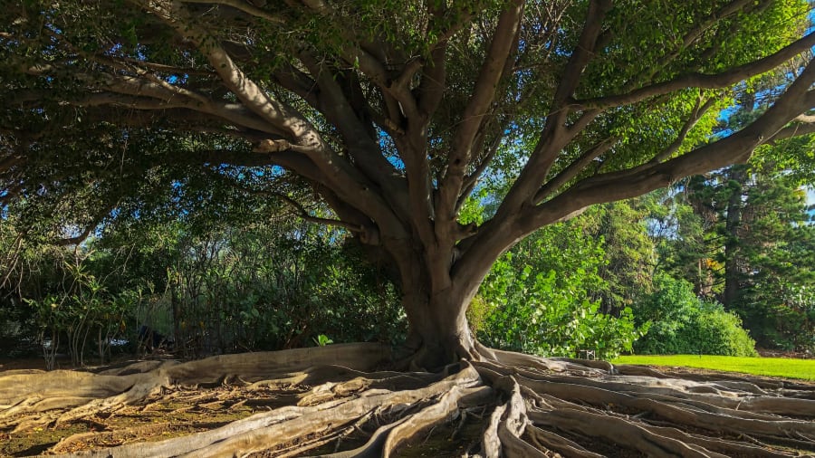 Kabbalah perinteen merkitys