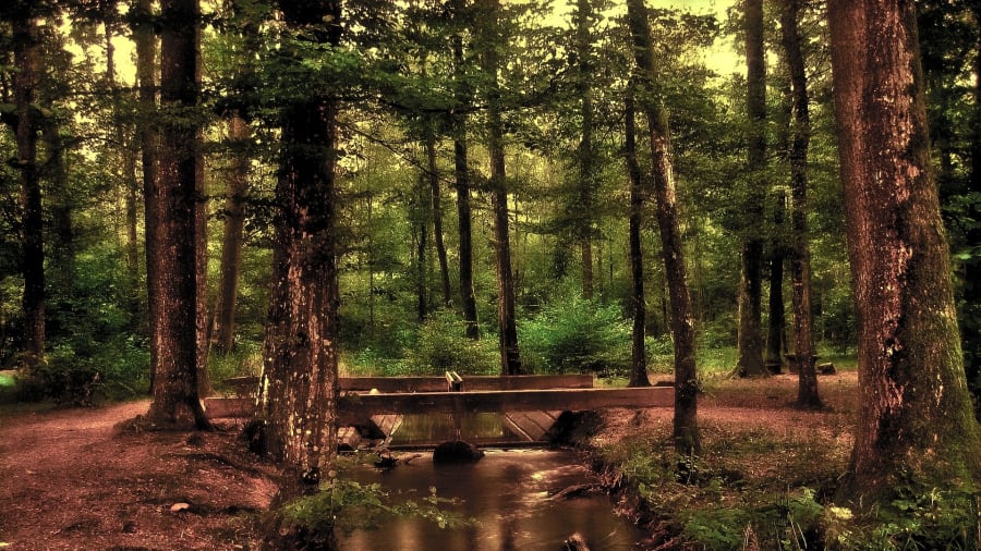 Elektroninen äänihavainto eli EVP