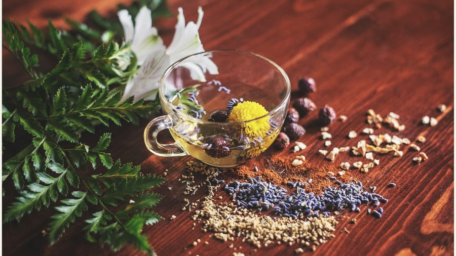 Ayurveda ja elämän tiede