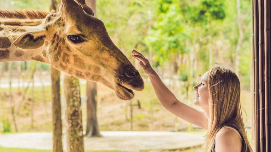 Komunikace se zvířaty jako hluboké spojení