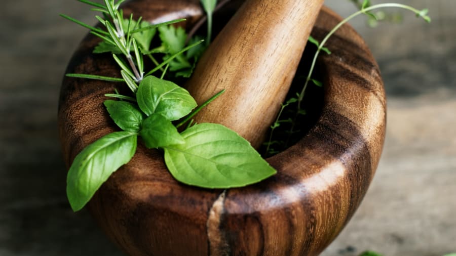 Medicinalväxter användning