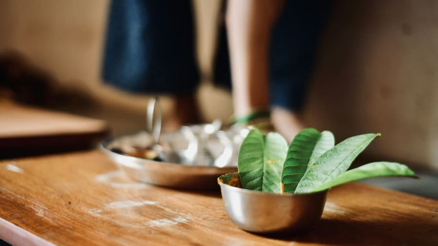 Ayurveda och konsten att leva i balans