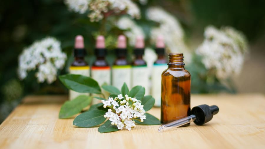 Bachs blomstermedel och själens fina toner