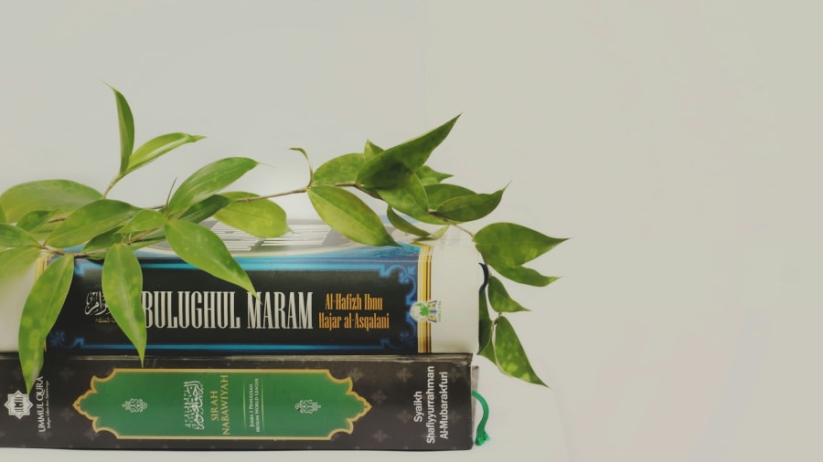 Signaturläran och naturens dolda budskap