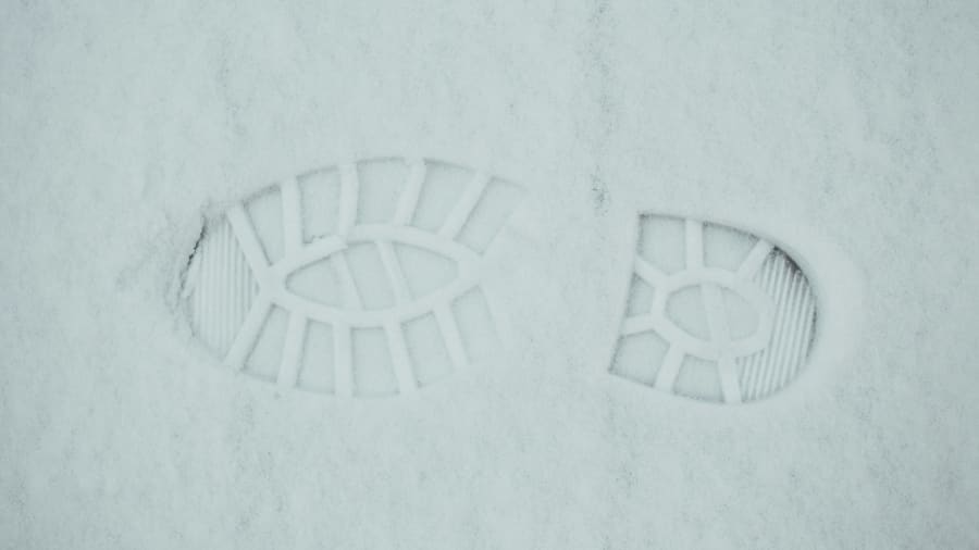 Yeti och Himalayas snöiga gåta
