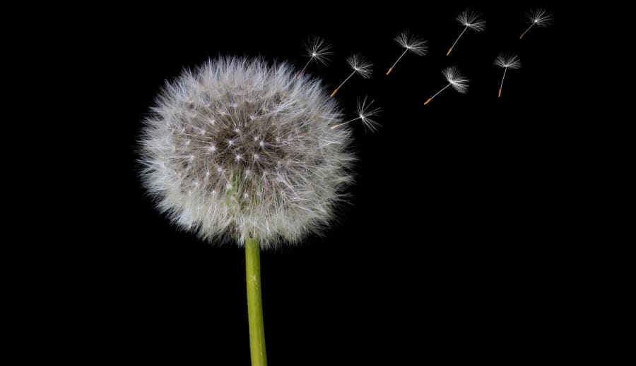 Az érzelmek tisztító áramlása