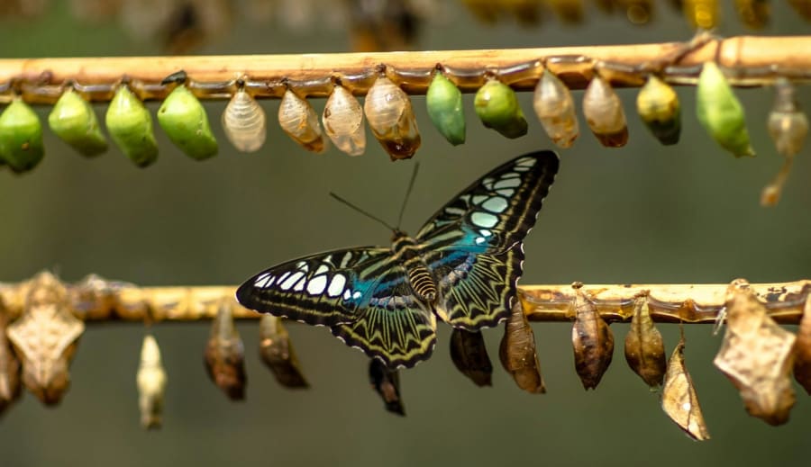 Belül változunk, de kívül minden ugyanaz