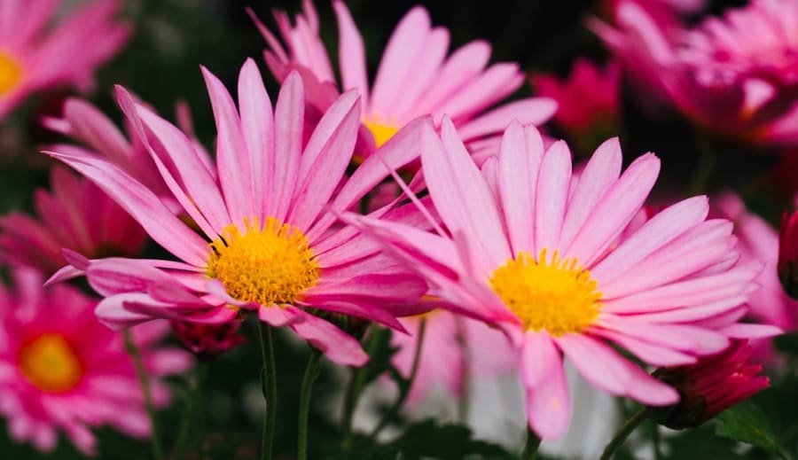 Meghalt a barátnőmhogyan dolgozzam fel?