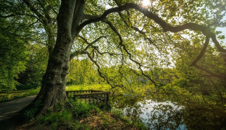 Miért érezzük néha úgy, hogy már jártunk ott?