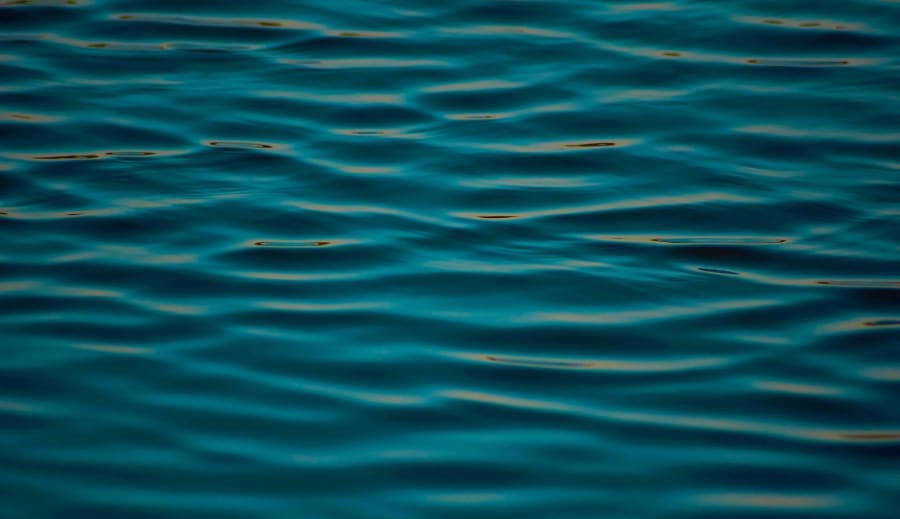 A lélek emlékezete a vízben