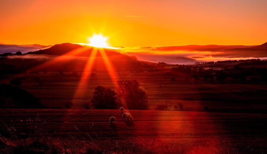 Új kezdetek pirkadata