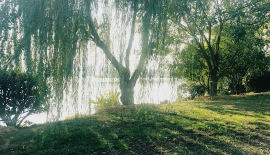 Sexlinka a dôverný rozhovor