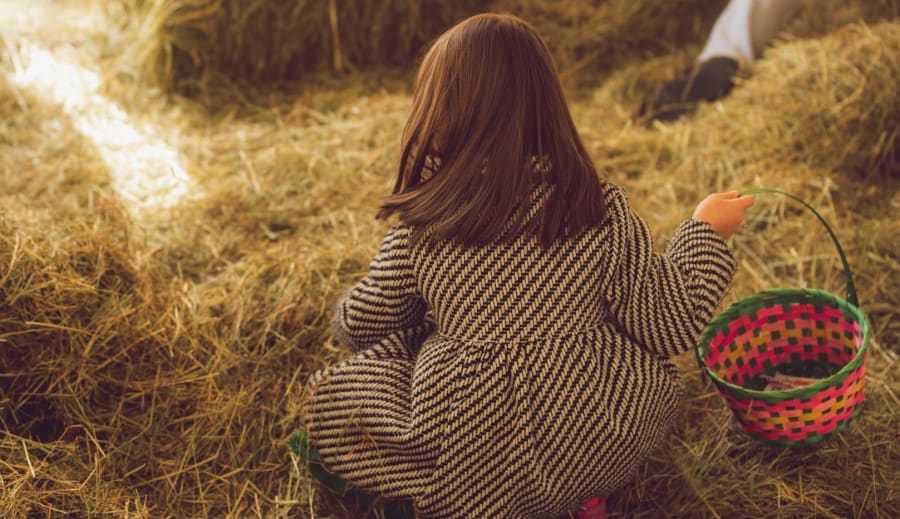 Hva vi søker og hva vi finner