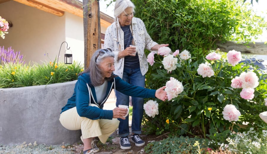 Alternatívna medicína nádhera zvnútra