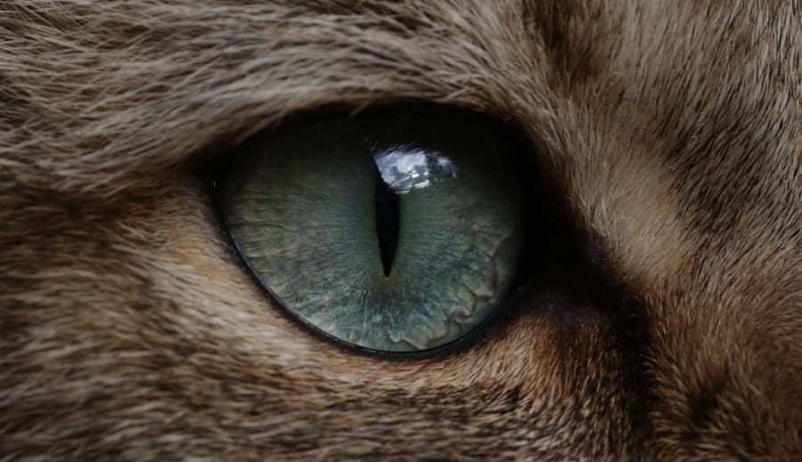 Keď intuícia prehovorí