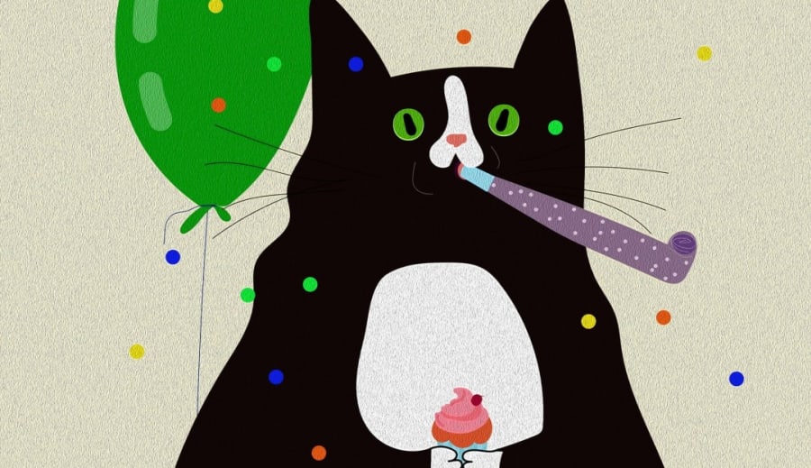 Čarodejníctvo medzi mýtom a realitou