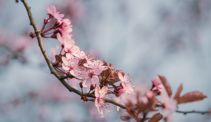 Veštkyňa: dar, intuícia a zodpovednosť