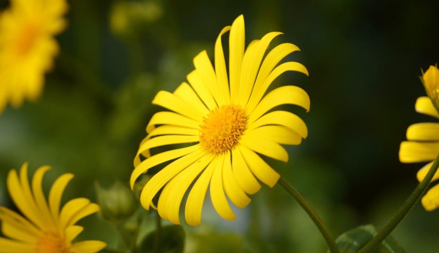 Paranormálne javy: medzi vierou a skúsenosťou