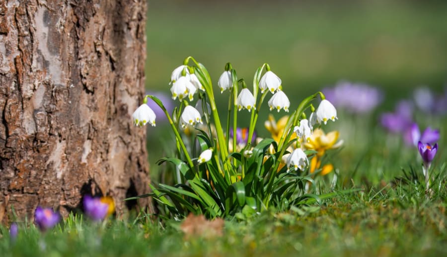 Spiritualizmus ako cesta medzi svetmi