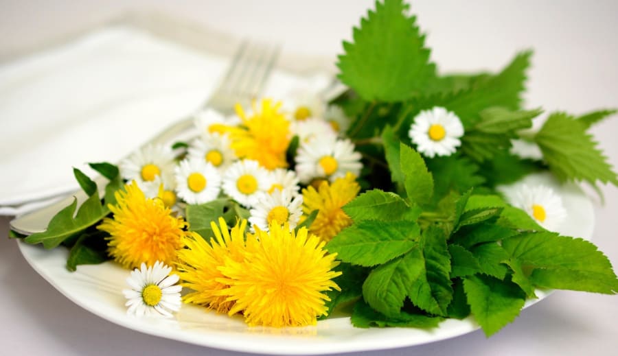 Návrat k prírodzenej rovnováhe tela a mysle.