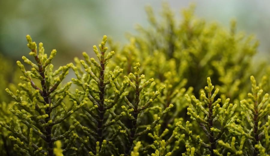 Čarování V přírodě