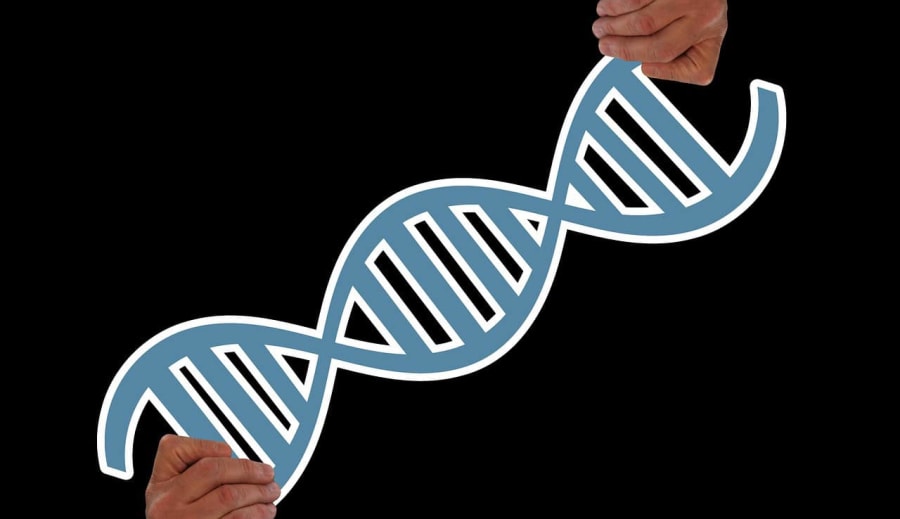 Genetické predispozice