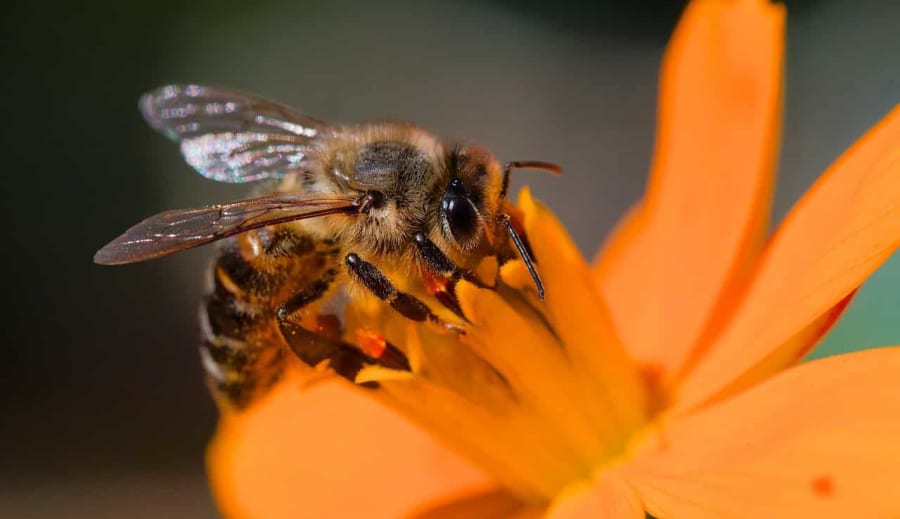 Jak nastartovat imunitu
