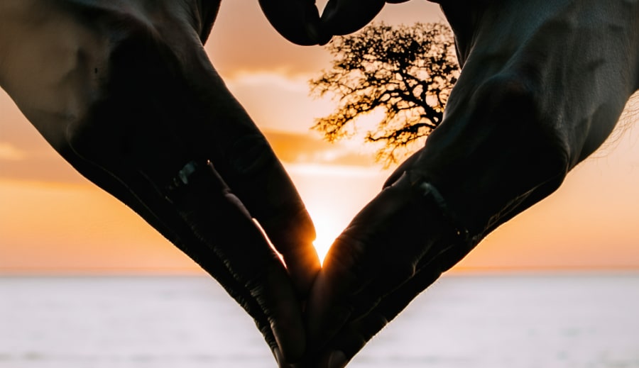 Láska na první pohled.