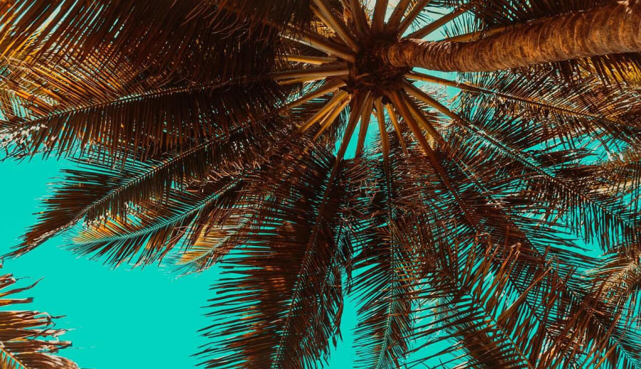 Počasí a vliv na naši pleť