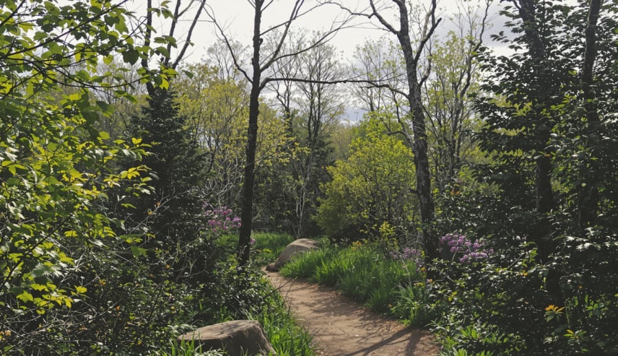 Procházka přírodou