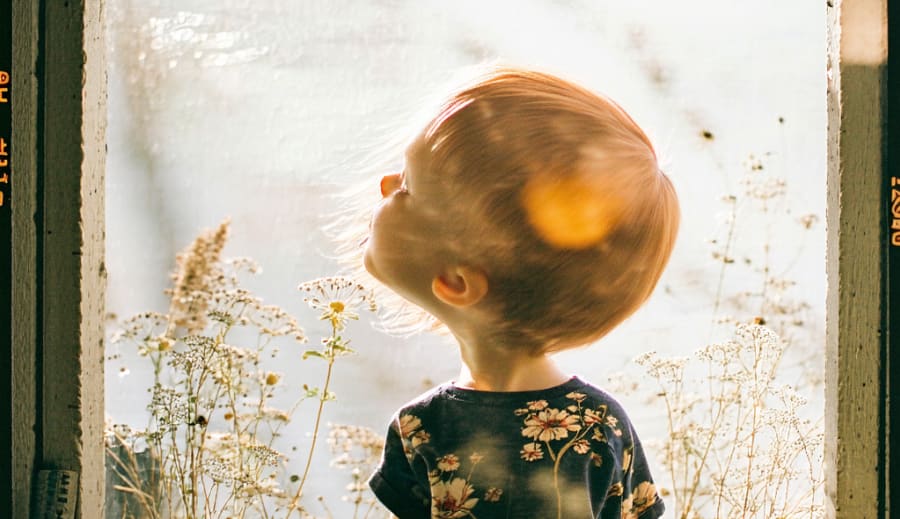 Život každého z nás je nesmírně složitý a plný nejrůznějších vlivů