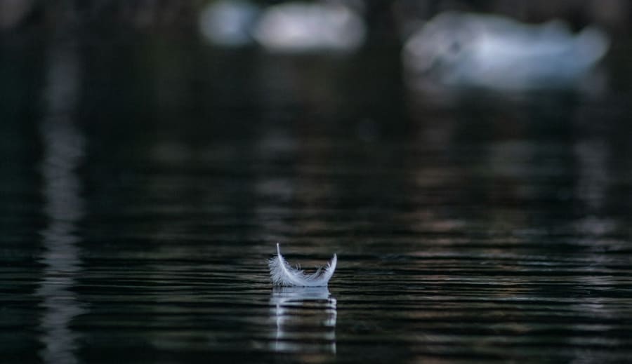 Ge näring till din själ genom att må bra