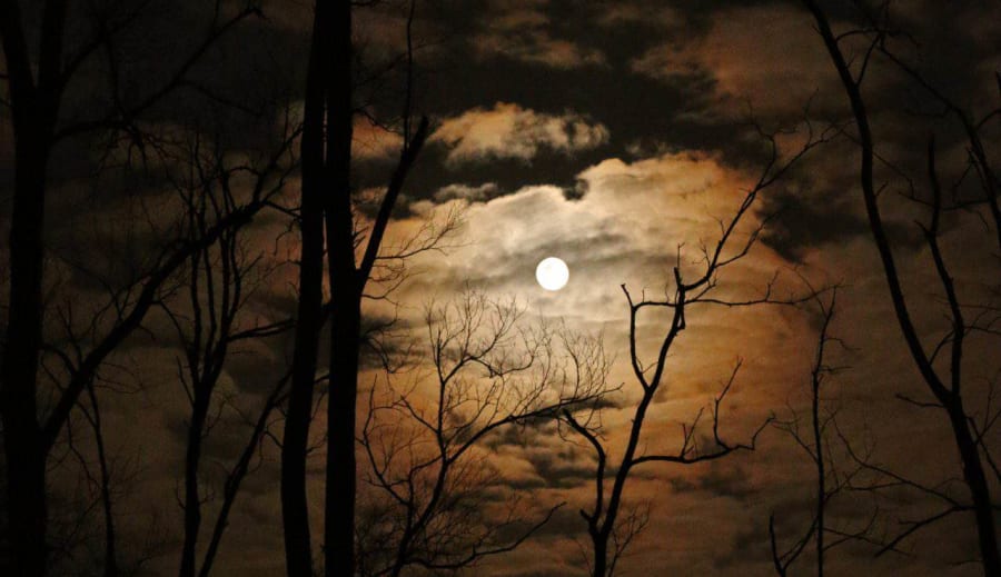 Astrologi 1-7 Oktober 2025